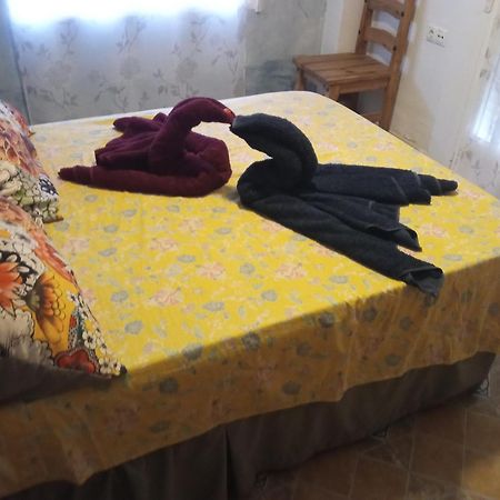 Apartamento Maite Guardamar del Segura Cameră foto
